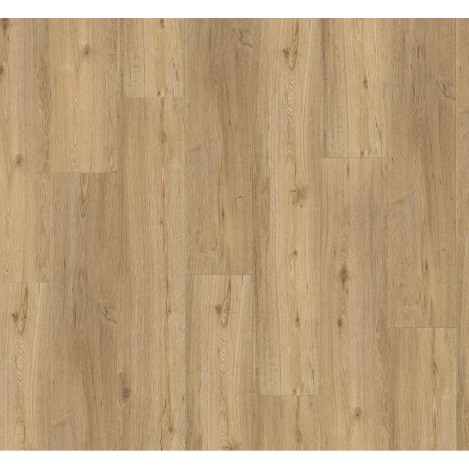 PARADOR Vinyl Classic 2030 Eiken Natuur geborsteld